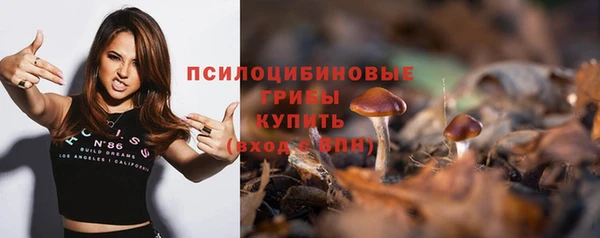 МДПВ Вяземский