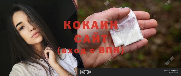 гидра Волоколамск
