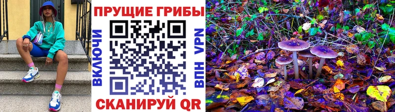 Псилоцибиновые грибы Psilocybine cubensis Купить где Магнитогорск